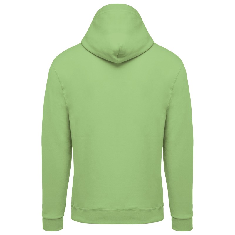 Sweat-shirt capuche homme Apple Green BACK